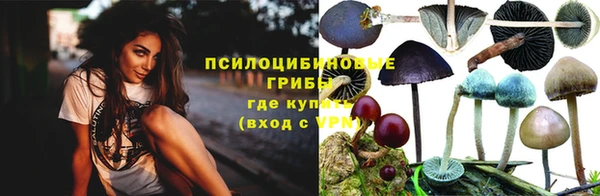 соль курить ск Надым