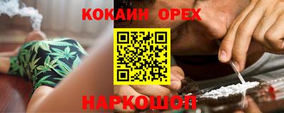 прущие грибы Абакан