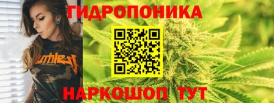 хмурый Гатчина