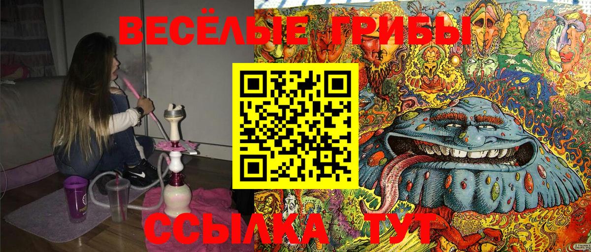 Кимовск  Псилоцибиновые грибы Magic Shrooms  где найти наркотики  Вход с VPN 