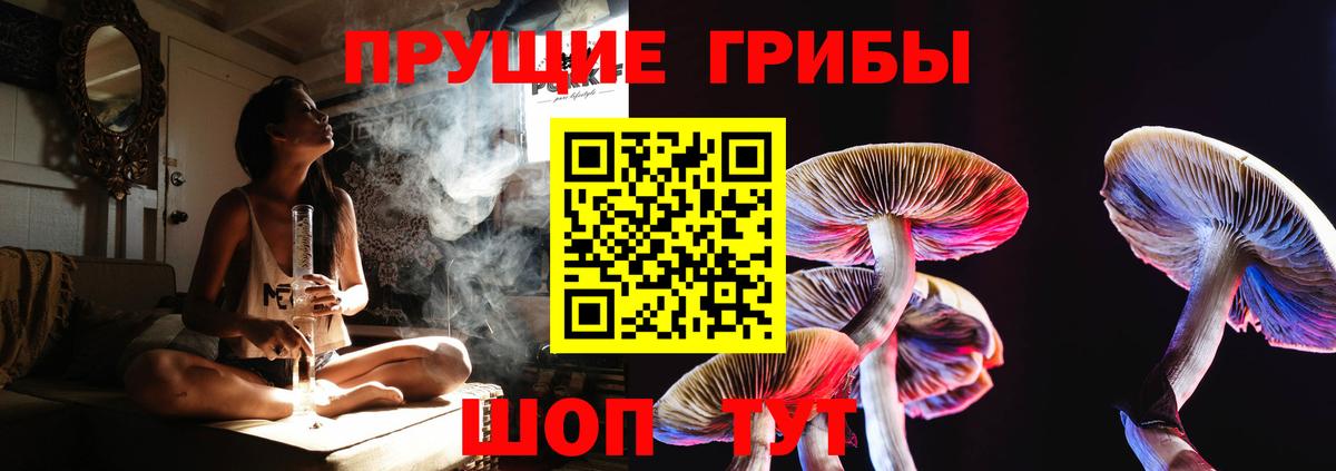 Галлюциногенные грибы GOLDEN TEACHER  купить   Кимовск 