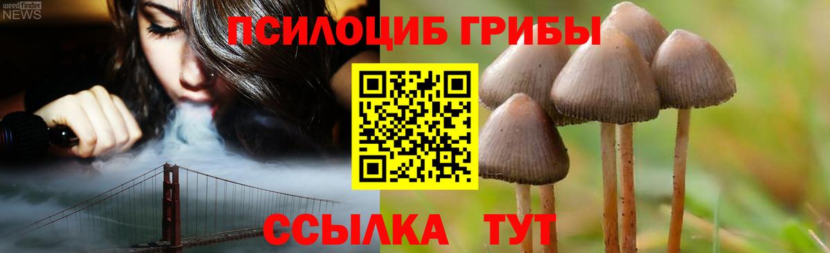 Псилоцибиновые грибы GOLDEN TEACHER Кимовск