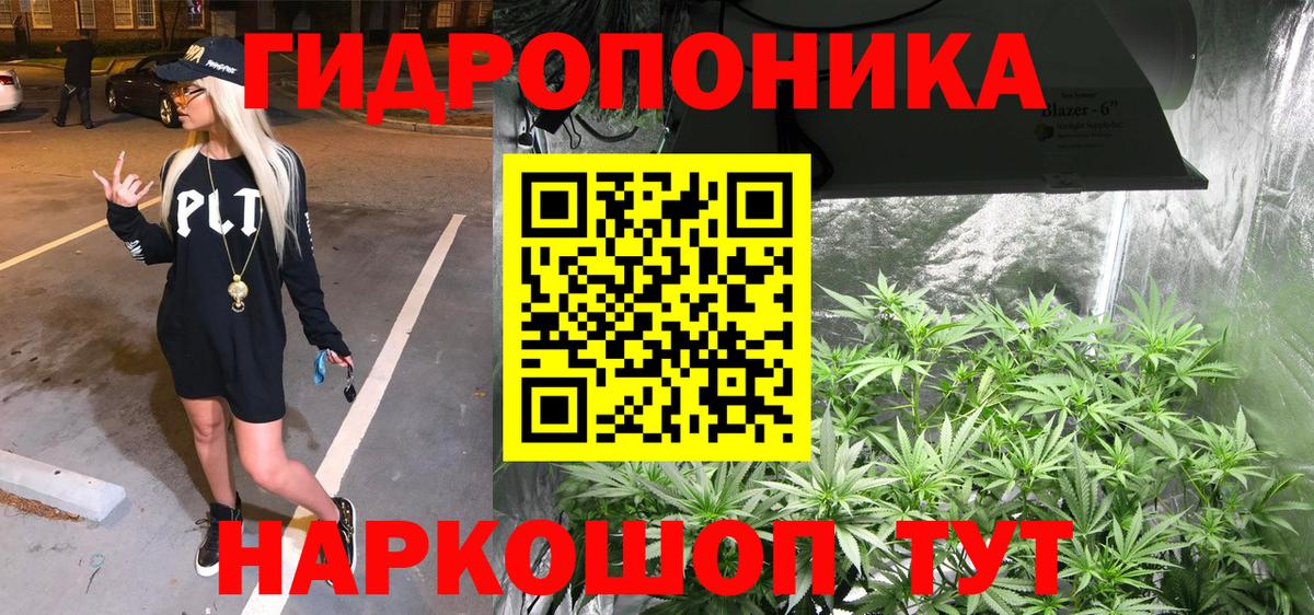 Бошки Шишки семена Кимовск